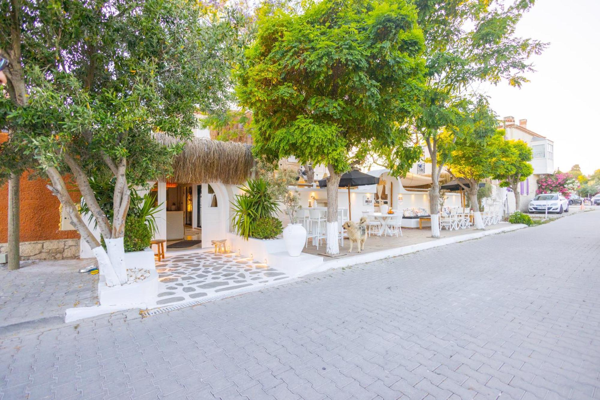 Zoe Alacati Exterior photo
